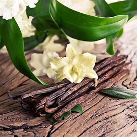 Sandalwood Vanilla Creamy Shea Butter