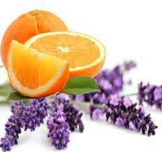 Orange Lavender Creamy Shea Butter